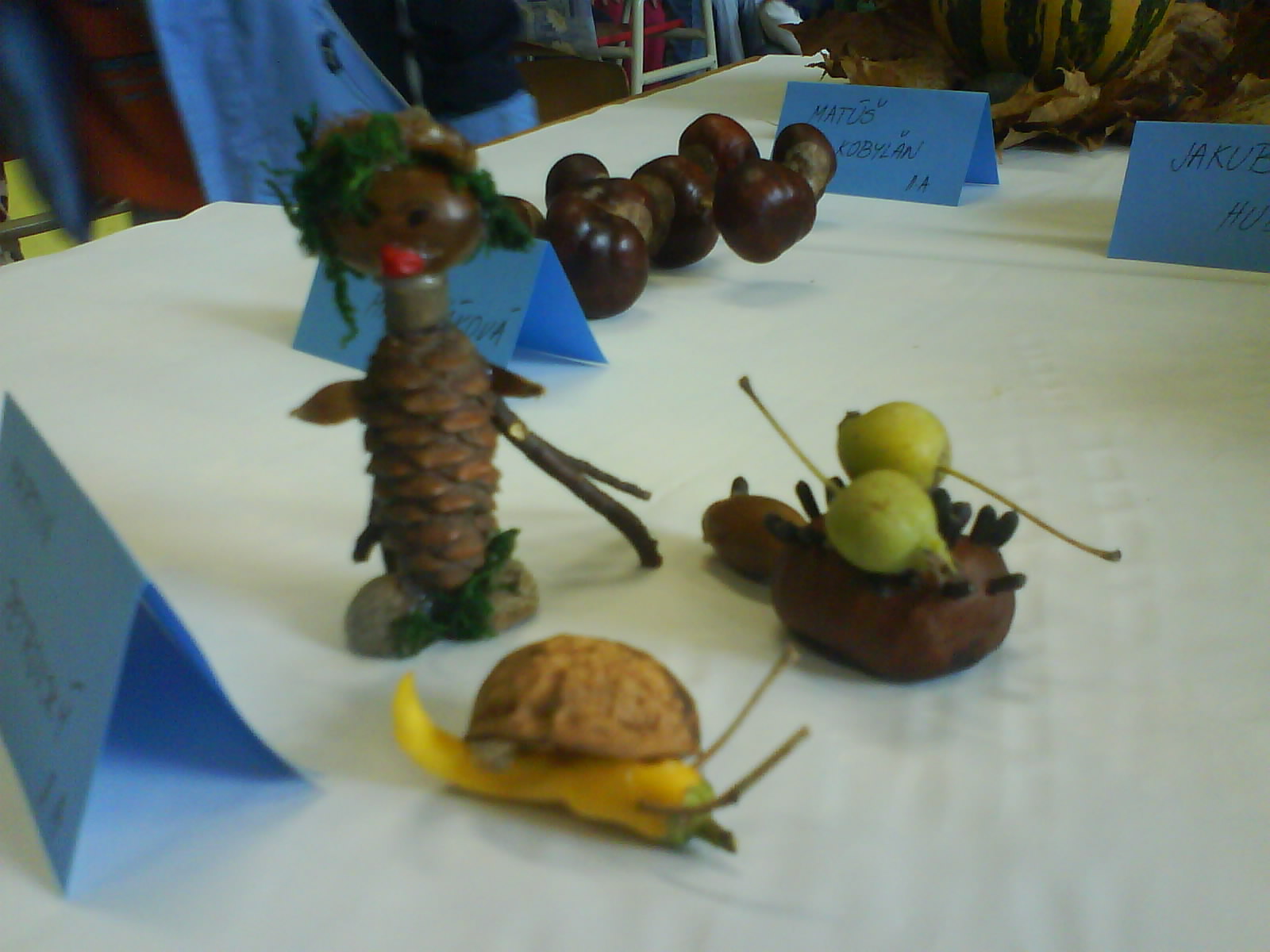 DSC00991.JPG