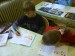 DSC01032.JPG